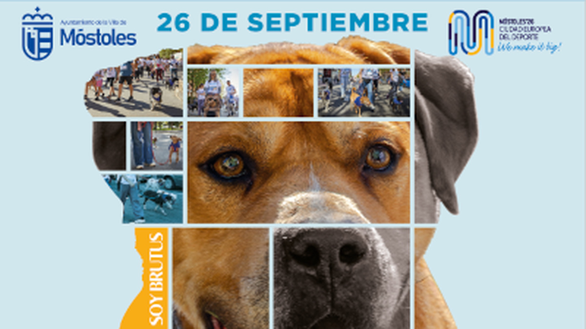 Móstoles se prepara para su tercera Marcha Dog en favor de la adopción responsable